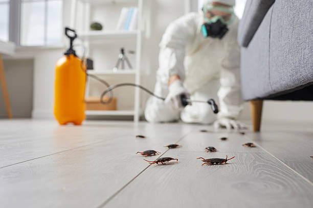 Commercial Kitchen Cockroach Control in Atherton